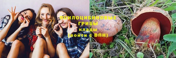 дурь Аркадак